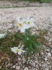 DSC05274.JPG