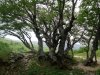 DSC05277.JPG