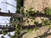 D16E79ED-6007-4D57-82D1-90CA7791E3C3.jpeg