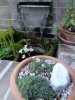DSC05370.JPG