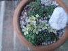 DSC05373.JPG
