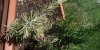 IMG_20200527_133415_optimized.jpg