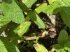 44AF9006-55AA-410C-88AB-22AD697CAA81.jpeg