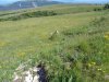 DSC05397.JPG