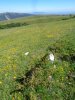 DSC05398.JPG