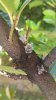 Resizer_15916477082841.jpeg