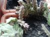 IMG_20200611_162826.jpg