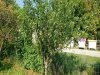 Resize Image_1592061462578.jpg