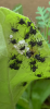 13F79E74-42AE-4B8B-A533-7BF393BB06B8.png