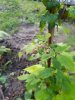 20200617_205024_resize_44.jpg
