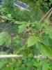 20200617_205014_resize_9.jpg