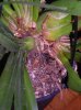 DSCN2686.jpg
