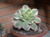 DSCN0193.jpg