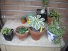 DSCN1605.jpg
