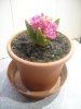 DSCN0974.jpg