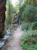 DSC05591.JPG