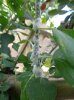 DSC05626.JPG