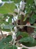 DSC05628.JPG