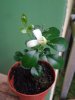 DSC05629.JPG