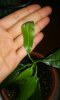 IMG_20200721_223132_366.jpg
