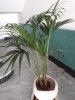 IMG-20200723-WA0006.jpg