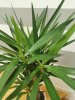 IMG_20200804_134028.jpg