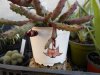 DSCN7429.JPG