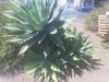 20200819_141323_compress8.jpg