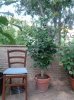 DSC05832.JPG