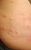 IMG-20200826-WA0029~2.jpg