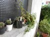 DSCN7444.JPG