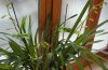 DSC04672.jpg