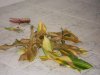 DSCN4820.jpg DSCN4820.jpg