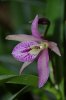 DSC_1739.jpg