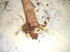 DSCN4822.jpg