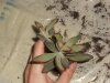 DSCN4830.jpg