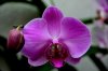 DSC_1911.jpg