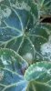 20200909_152924.jpg