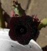 DSCN7472.JPG