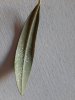 20200913_084419.jpg