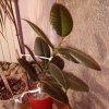 IMG_20200924_215451.jpg