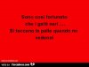 9327100146-sono-cosi7TR-fortunato-che-i-gatti-neri-si-toccano-le-palle-quando-mi-vedono_a.jpg