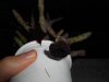 DSCN7543.JPG