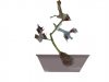 128354d1353756205-margotta-acero-rosso-finita-diventer-bonsai-consigli-241120121034 copia.jpg