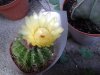2012-05-17 18.58.15.jpg