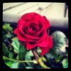 2012-06-10_1339343876.jpg