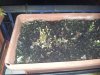 20130213_202022 copia.jpg