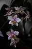 DSC_2137.jpg