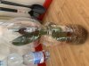 E403EFCD-A0CB-4114-A568-B47F80652AA6.jpeg E403EFCD-A0CB-4114-A568-B47F80652AA6.jpeg
