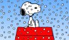 http---media.coVVmicsblog.it-5-525-Snoopy-Natale-Christmas-Charles-Schulz-Peanuts.jpg